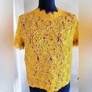 Zara Trafaluc Embroidered Lace Top.